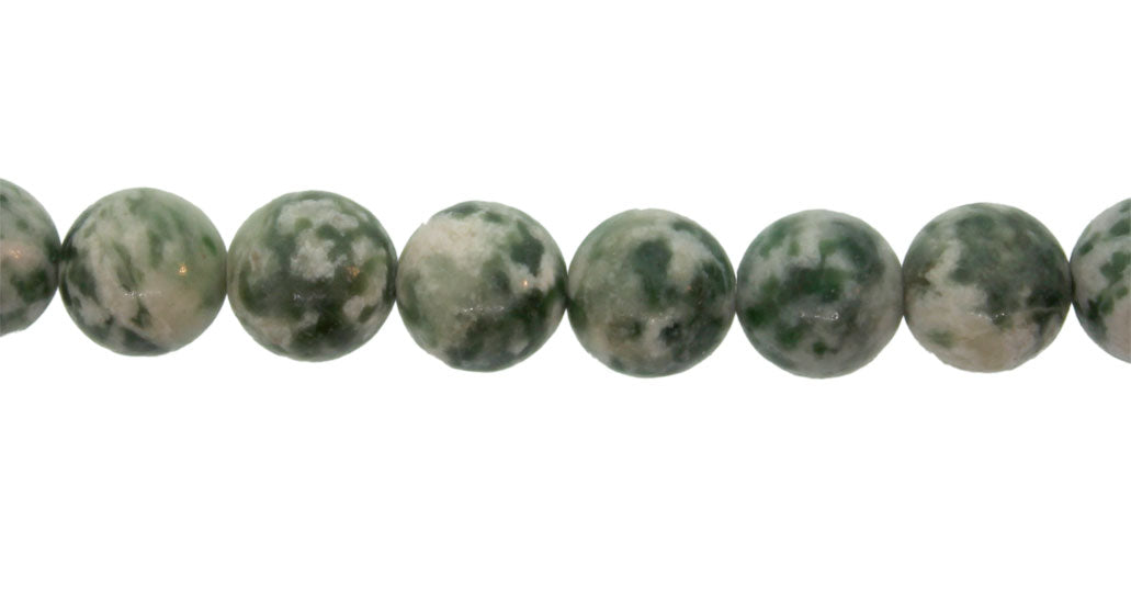 15.5 inch - 16 inch 6mm Tree Agate Natural Plain Round Beads