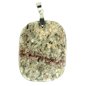 34-48mm Ocean Fossil Jasper Freeform Pendants