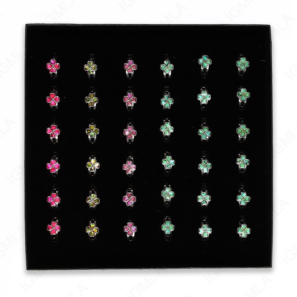 Paua Shell Clover Rings 36 Pc Box