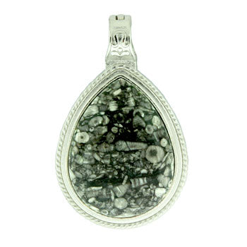 39X63mm Insect Fossil Jasper Pear Pendants