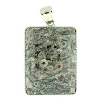32X47mm Insect Fossil Jasper Rectangle Pendants