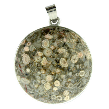 33X50mm Ocean Fossil Jasper Coin Pendants
