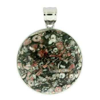 33X50mm Insect Fossil Jasper Coin Pendants