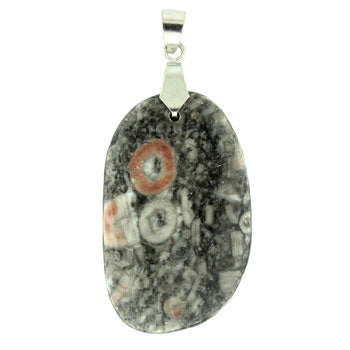 34-48mm Insect Fossil Jasper Freeform Pendants