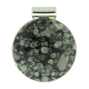 35X40mm Insect Fossil Jasper Round Pendants