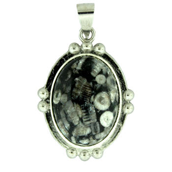 25X34mm Insect Fossil Jasper Oval Pendants