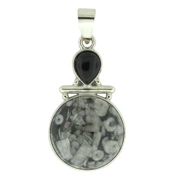 20X35mm Insect Fossil Jasper Round Pendants