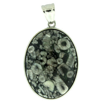 32X47mm Insect Fossil Jasper Oval Pendants