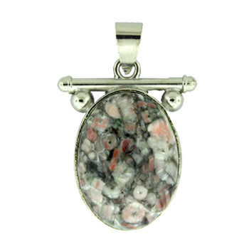 23X29mm Insect Fossil Jasper Oval Pendants