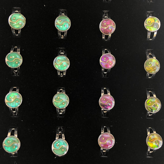Paua Shell Y/Yang Rings 36 Pc Box
