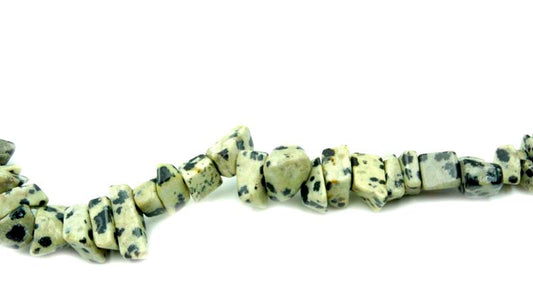 36 inch Chip Dalmatine Jasper (Natural) Beads