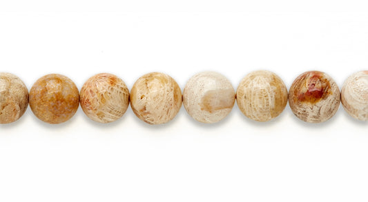 16 inch 12M.M. Fosil Stone Round Beads