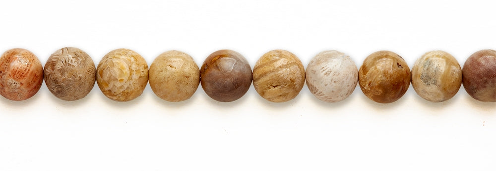 16 inch 12M.M. Fossil Coral Round Beads
