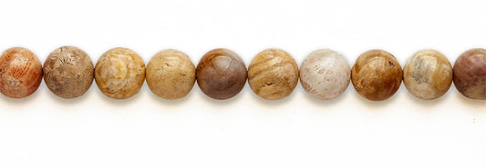 16 inch 12M.M. Fossil Coral Round Beads